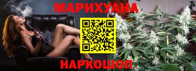 крисы Брянск