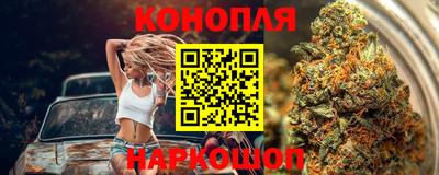 крисы Брянск