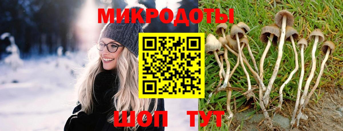 Галлюциногенные грибы ЛСД  Вход с VPN  Галлюциногенные грибы Magic Shrooms  Выборг 